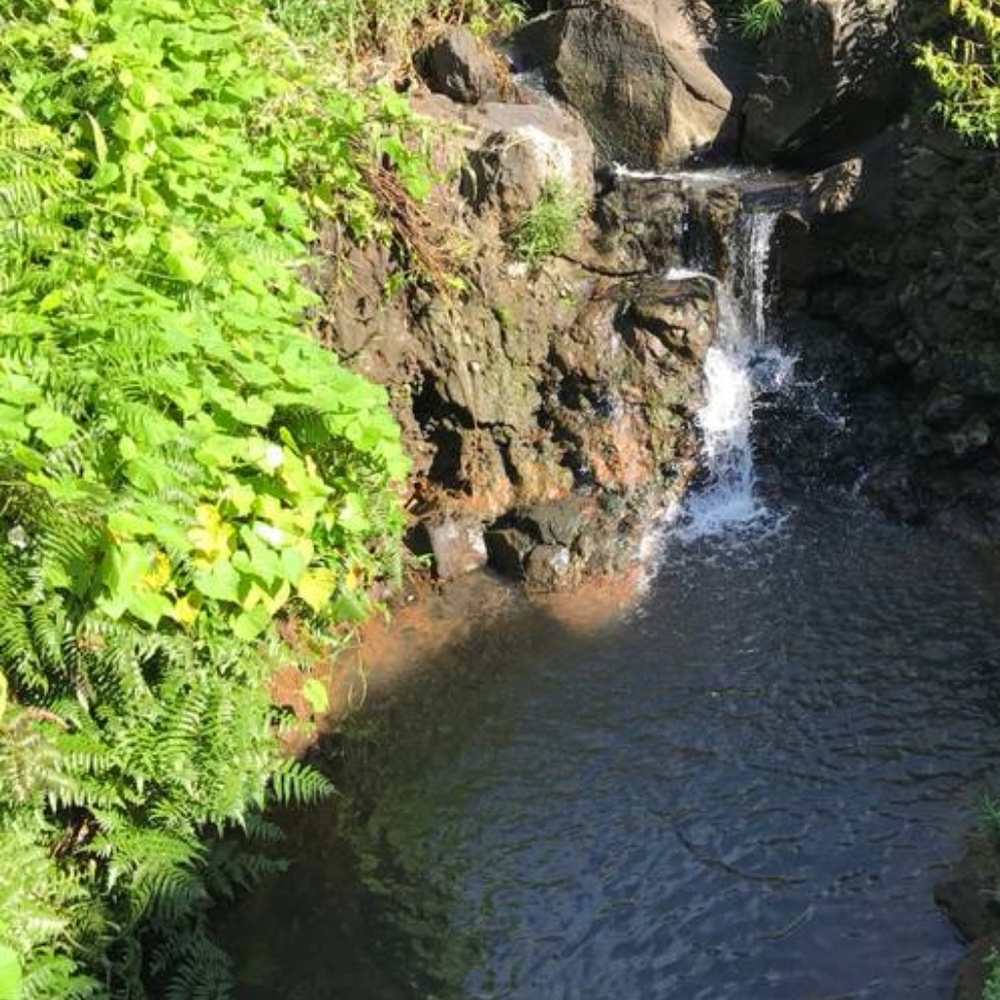 Meet your Posher, April